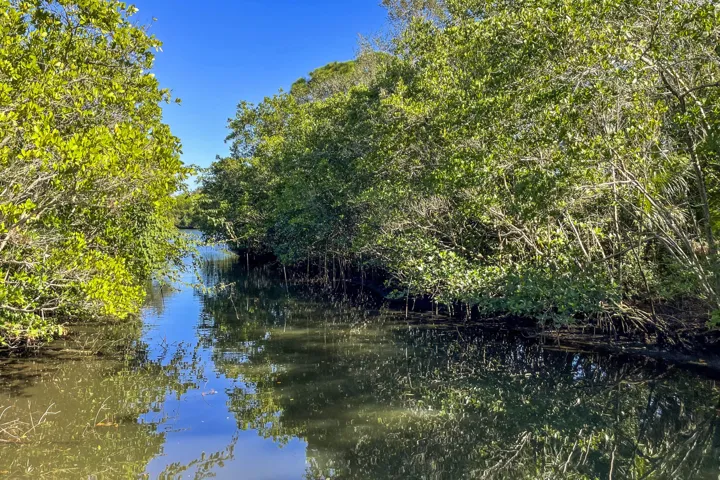 Canal