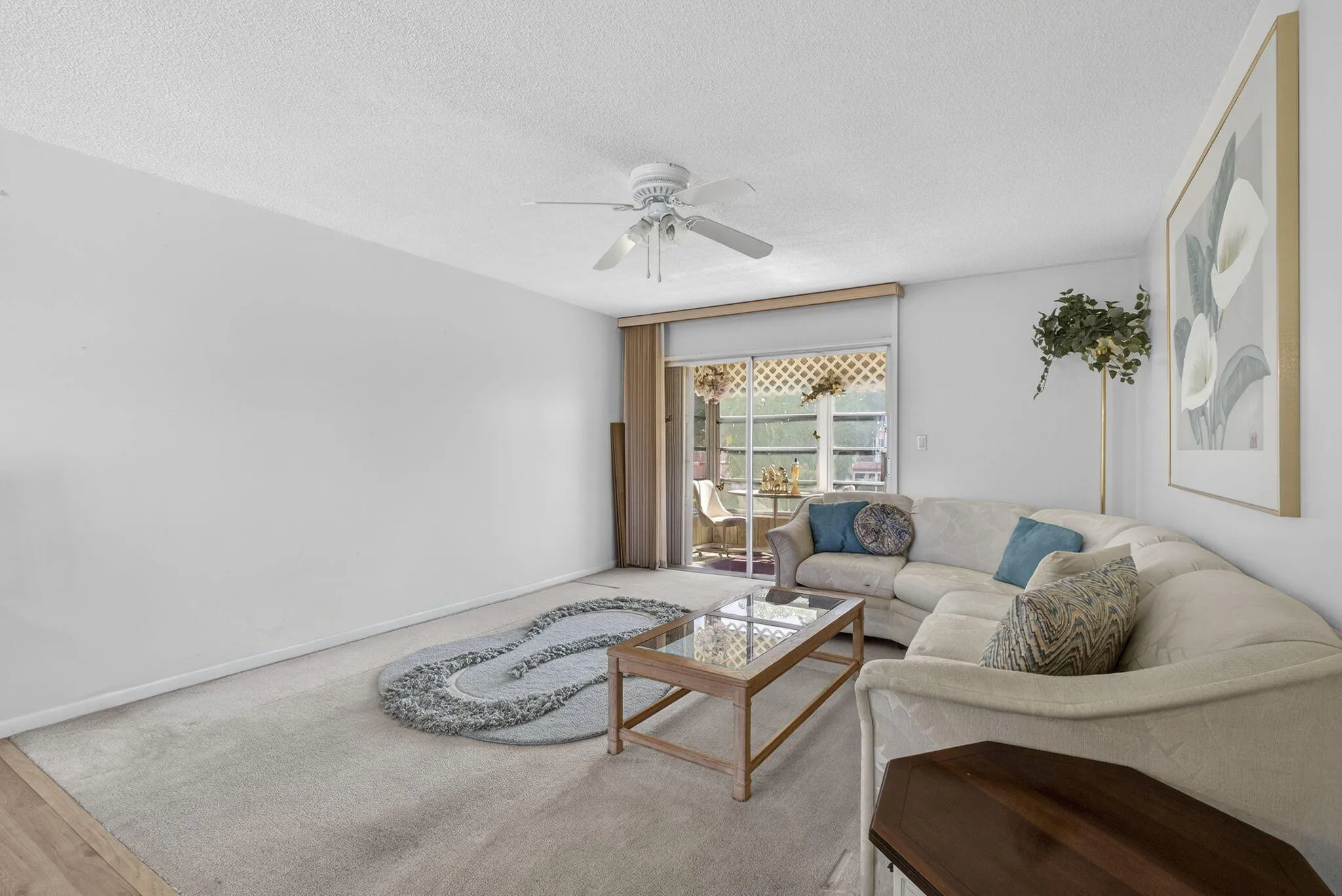 25-web-or-mls-BS1A2995