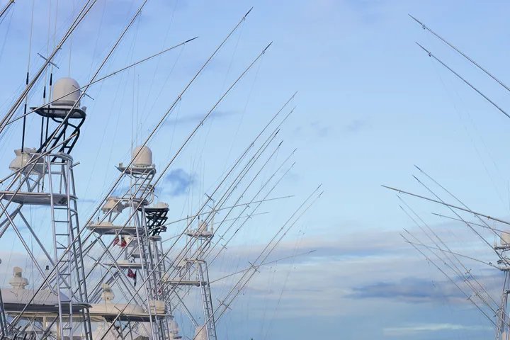 DSC01168 David Scarola Photography SIR