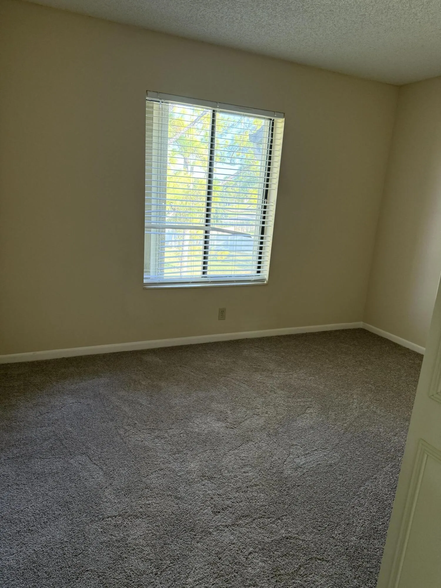Guest Bed