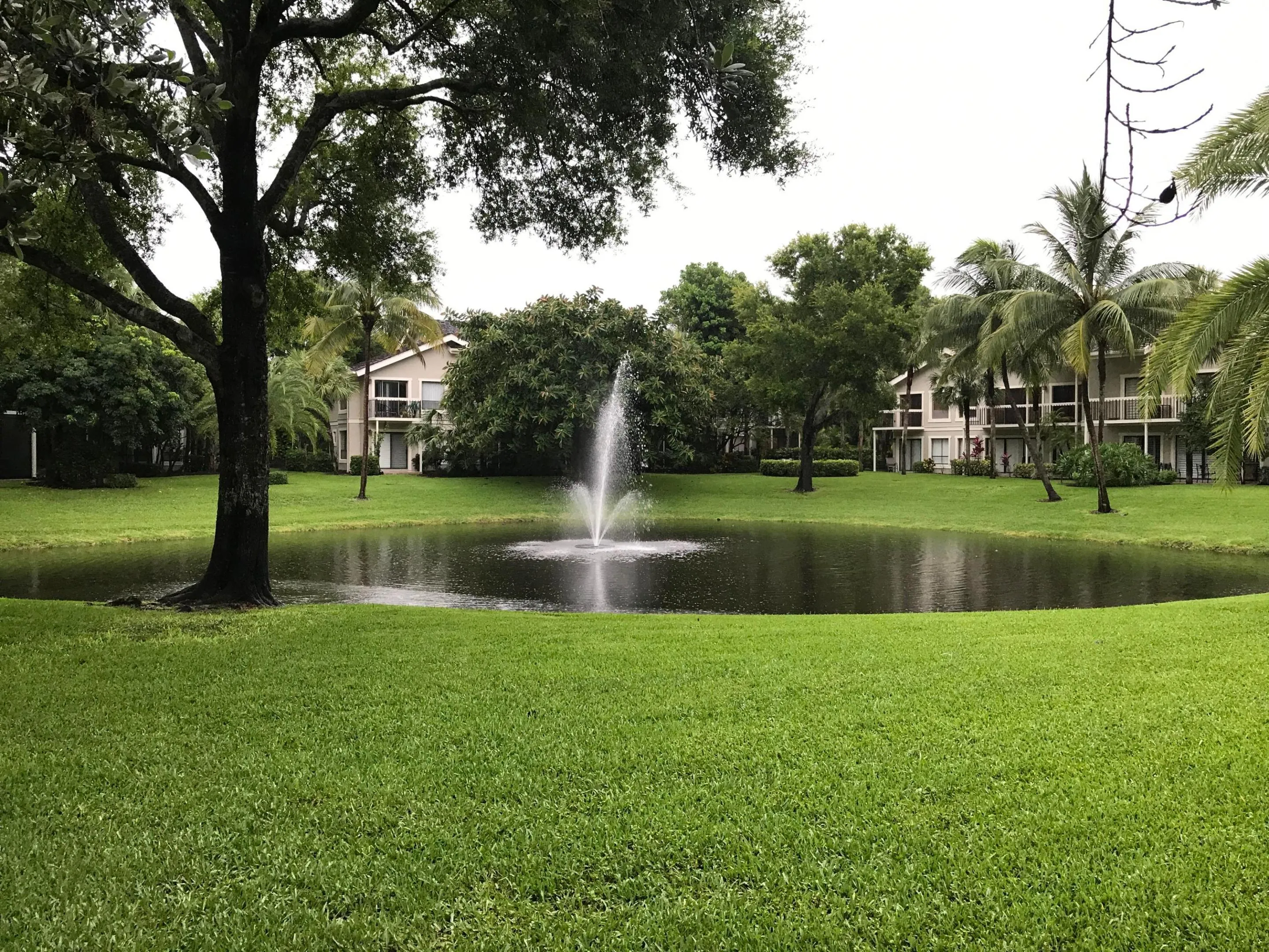 Pond