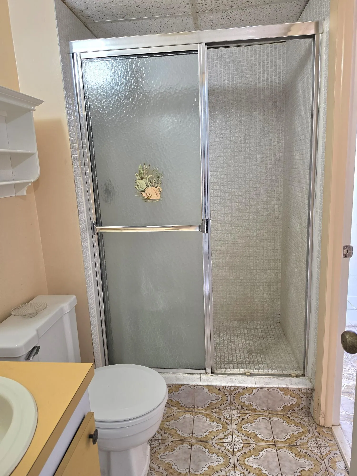 Guest Bathroom with Shower