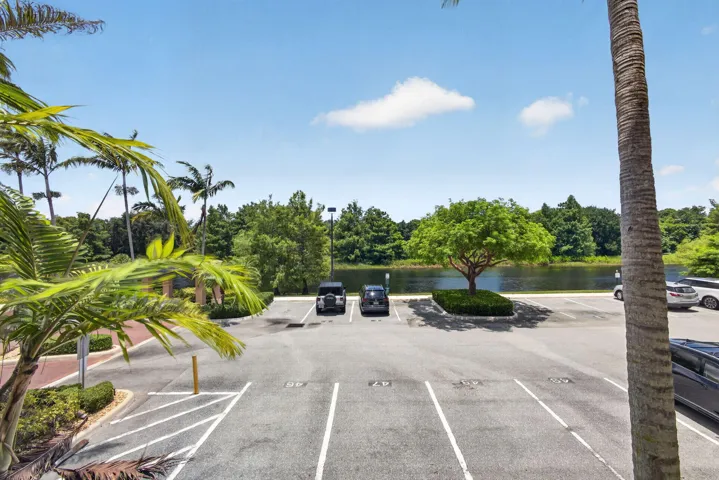 50-web-or-mls-5D1A7625