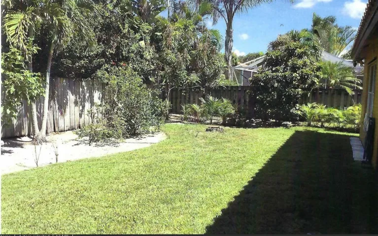 Backyard