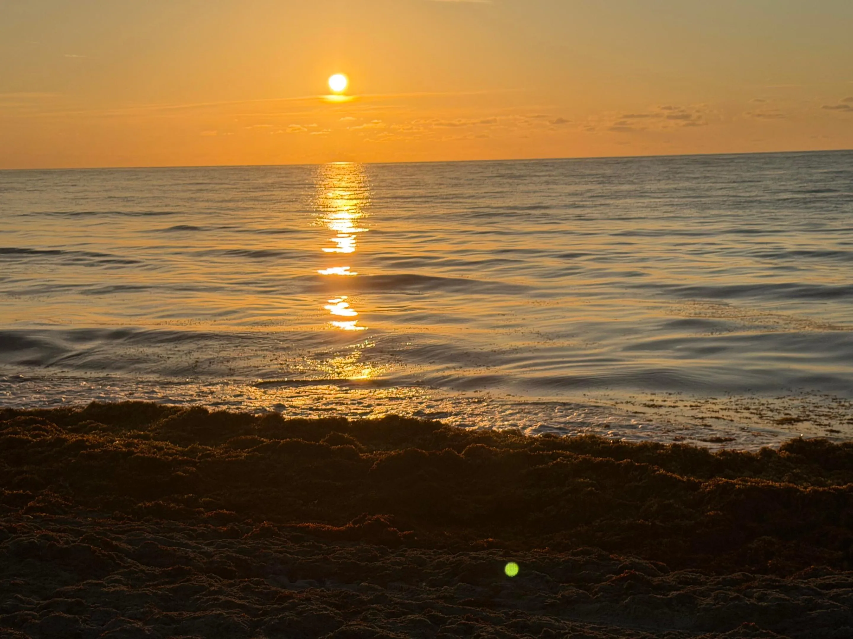 Sunrise 3 mikes