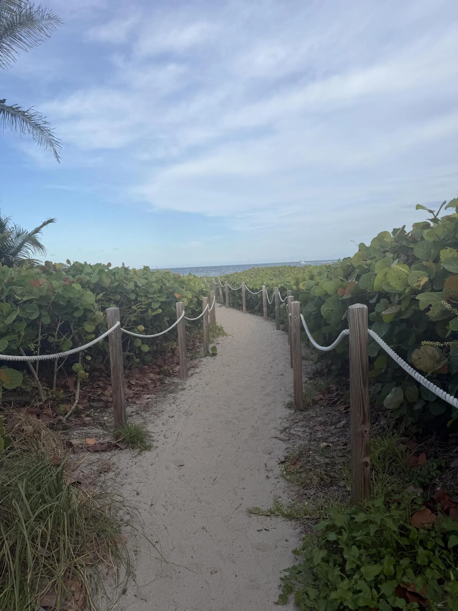 Walks on the beach in 3 miles