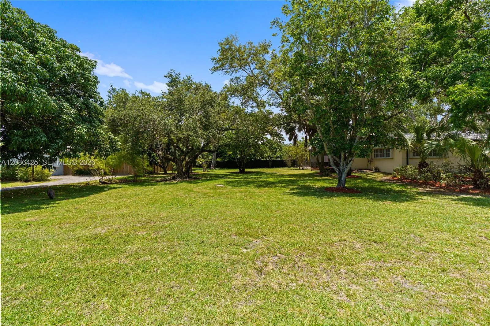 Property photo 93