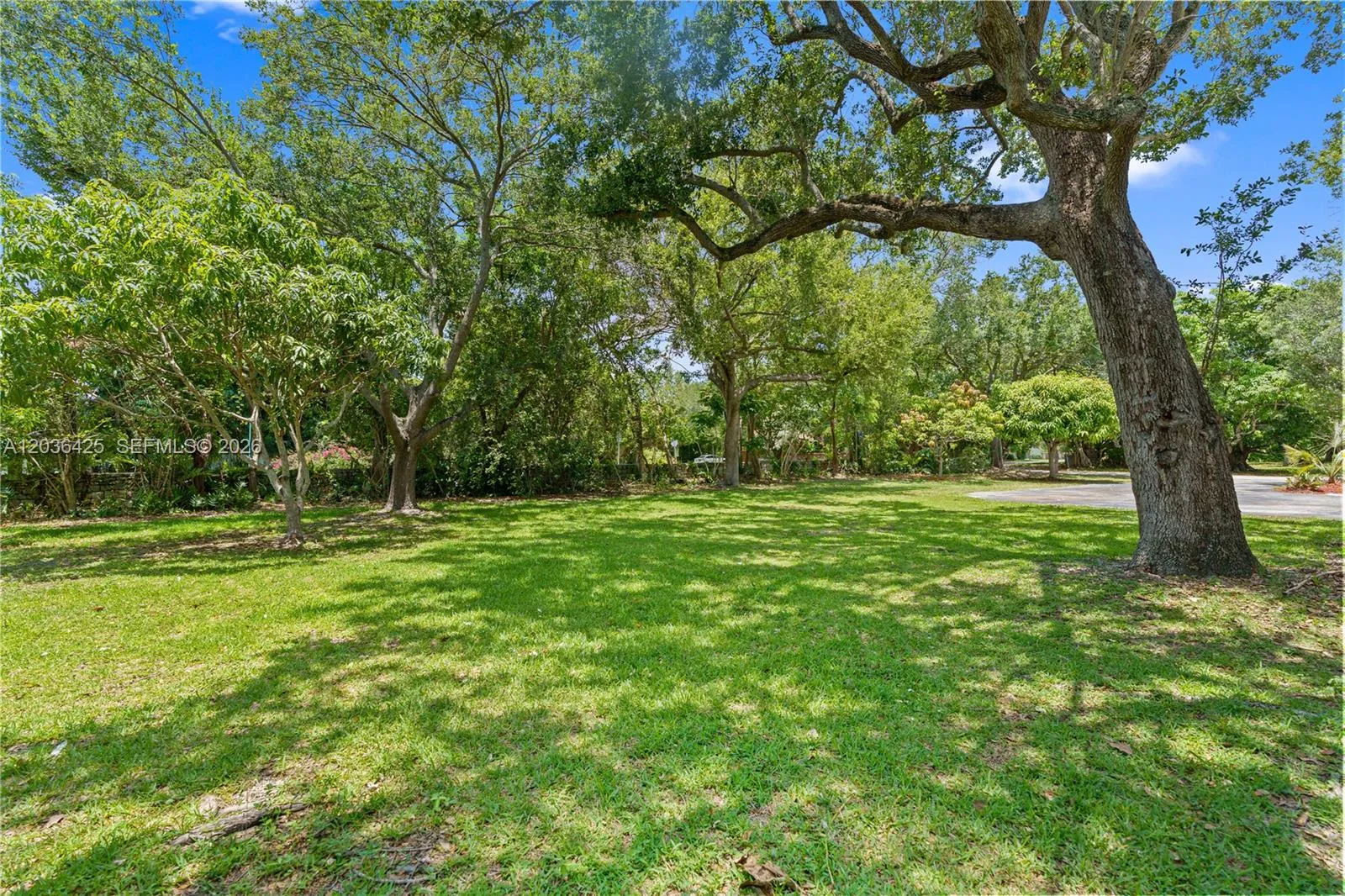 Property photo 99