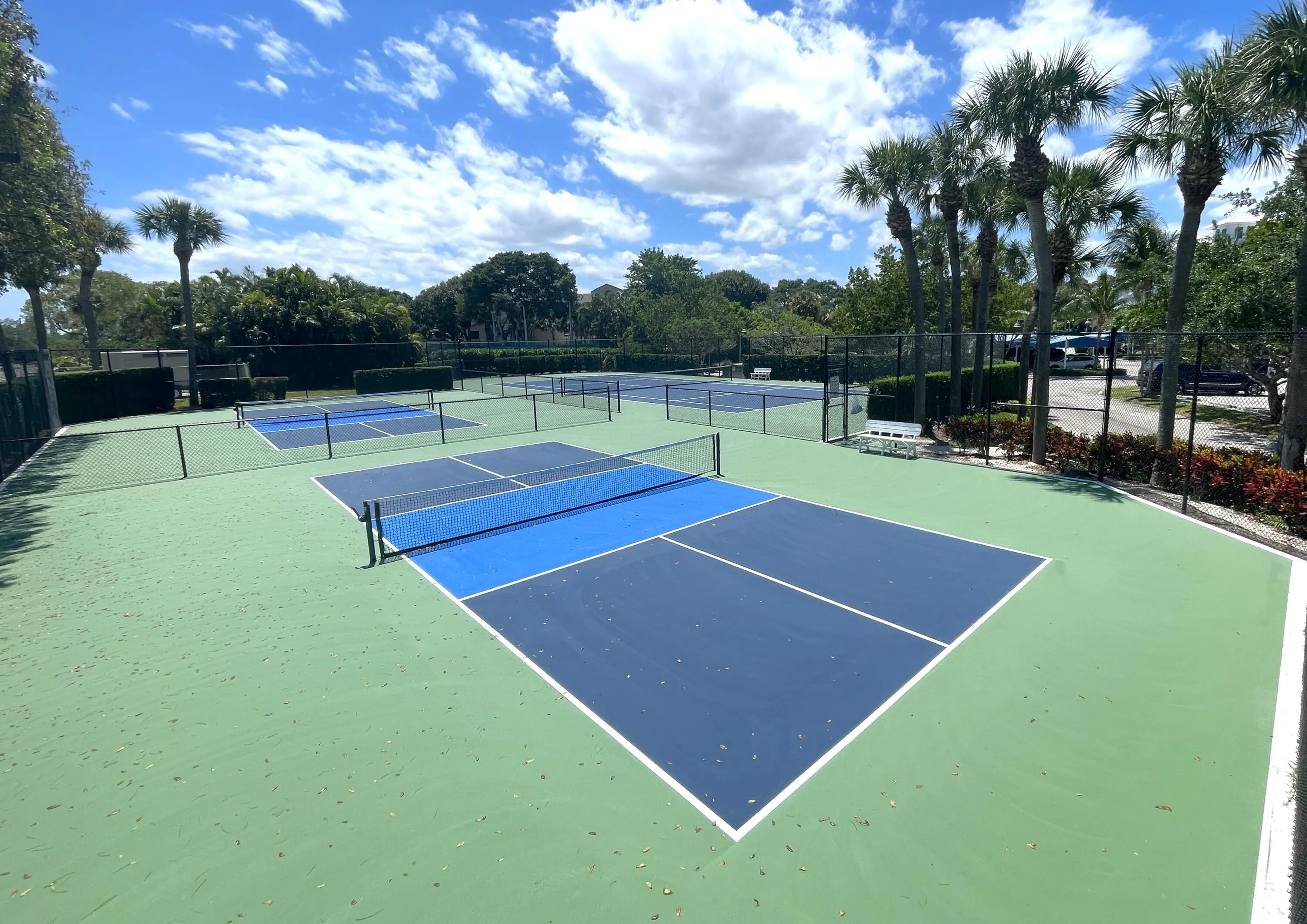 Pickle Ball