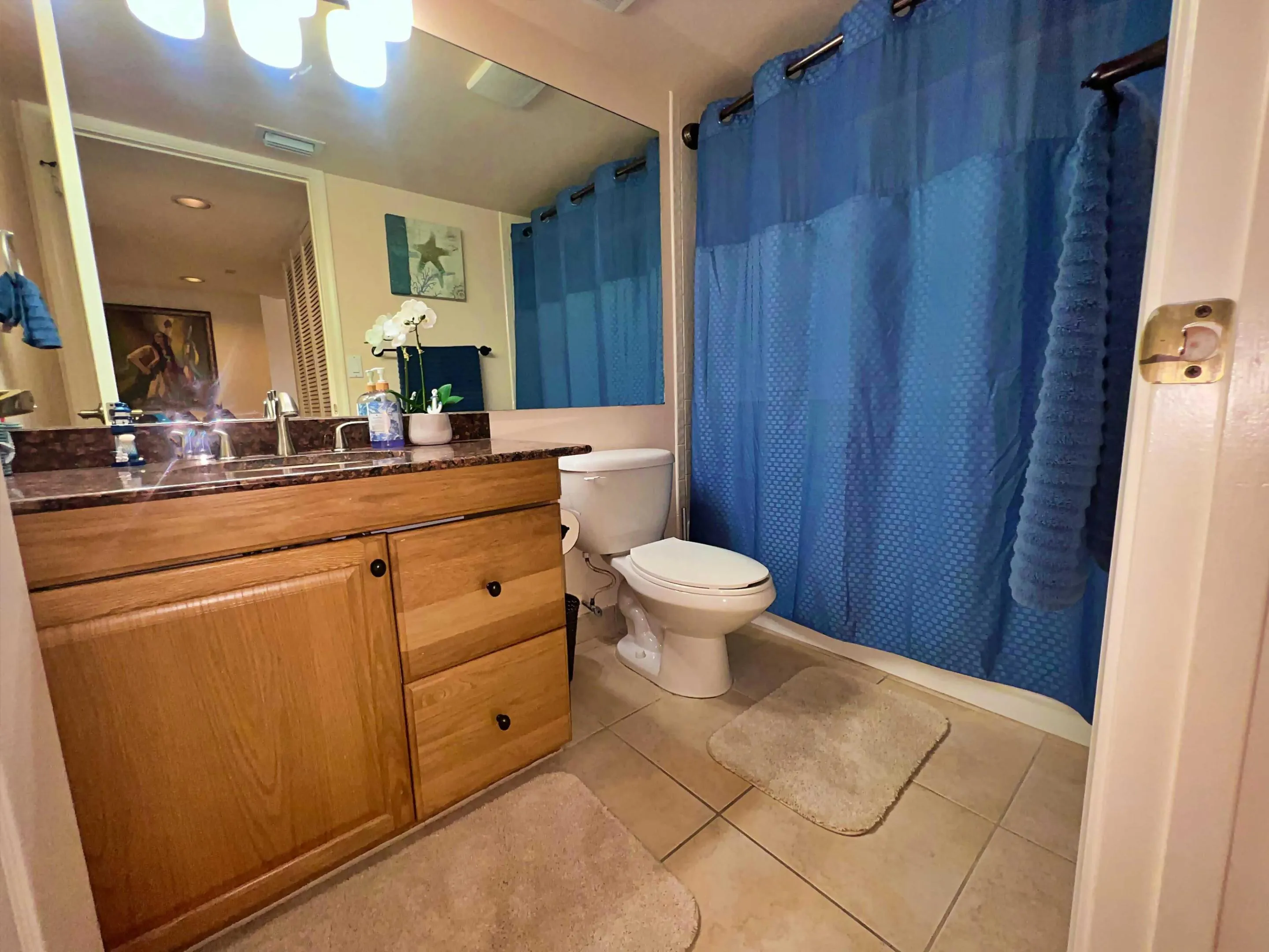 Bathroom 1 wide guest