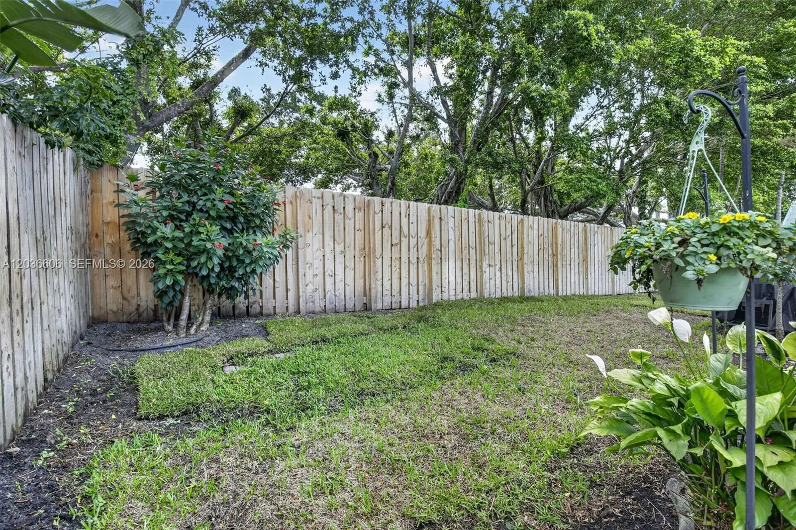 Photo 36