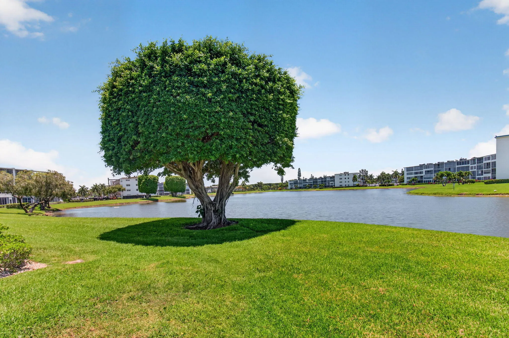 55-web-or-mls-DSC_7825