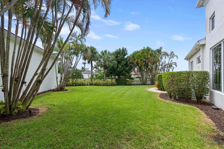 Side Yard