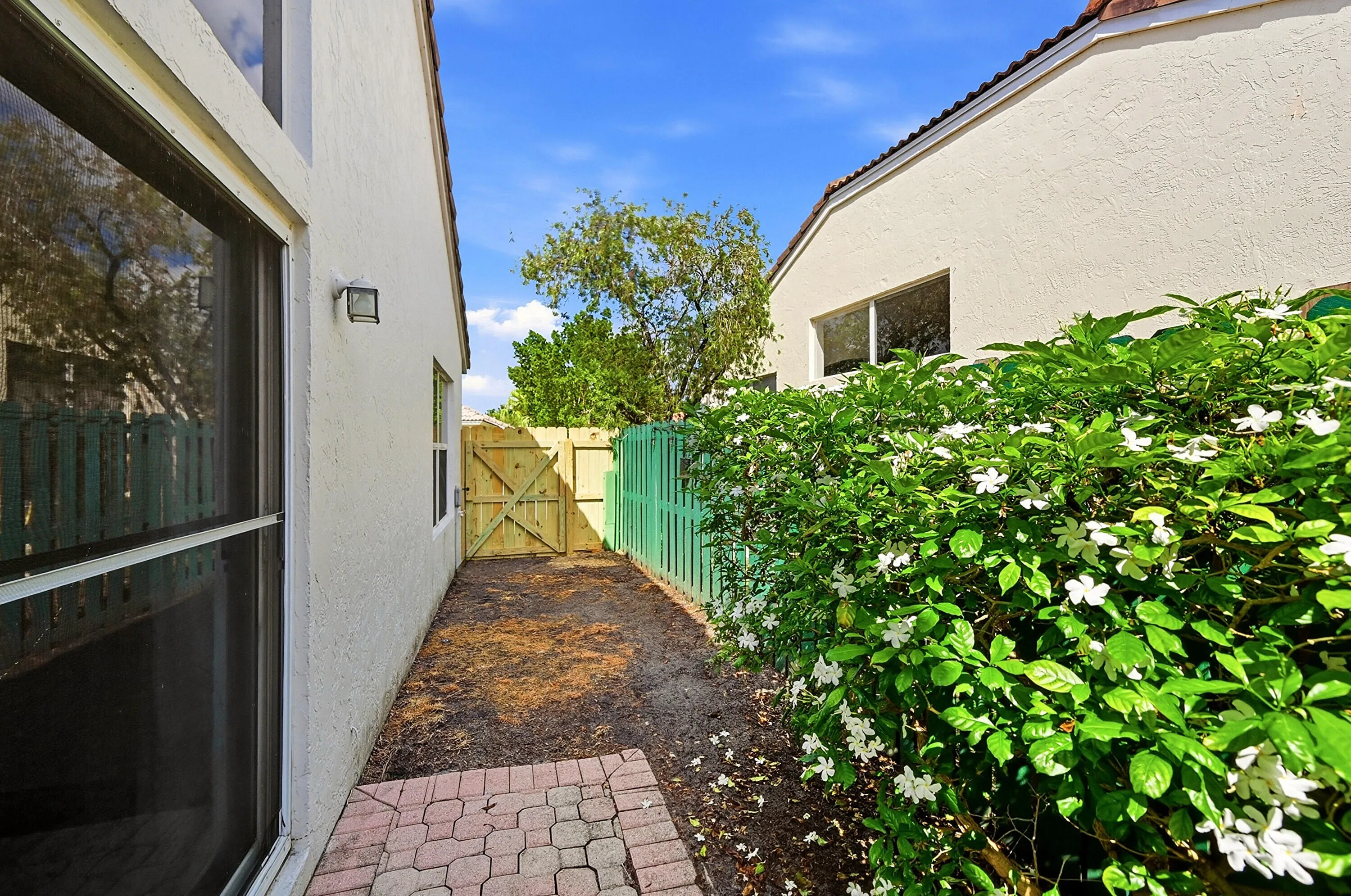 29_backyard