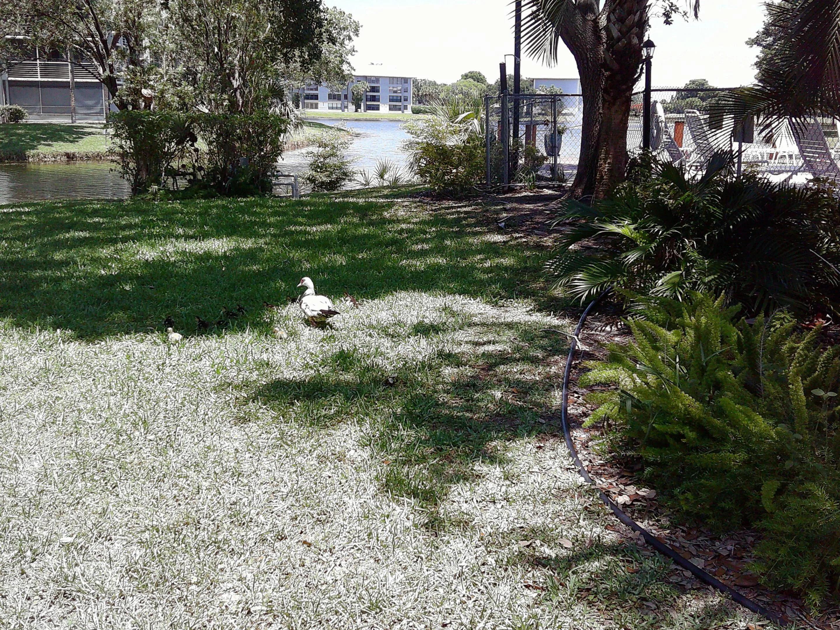 DSCF0008