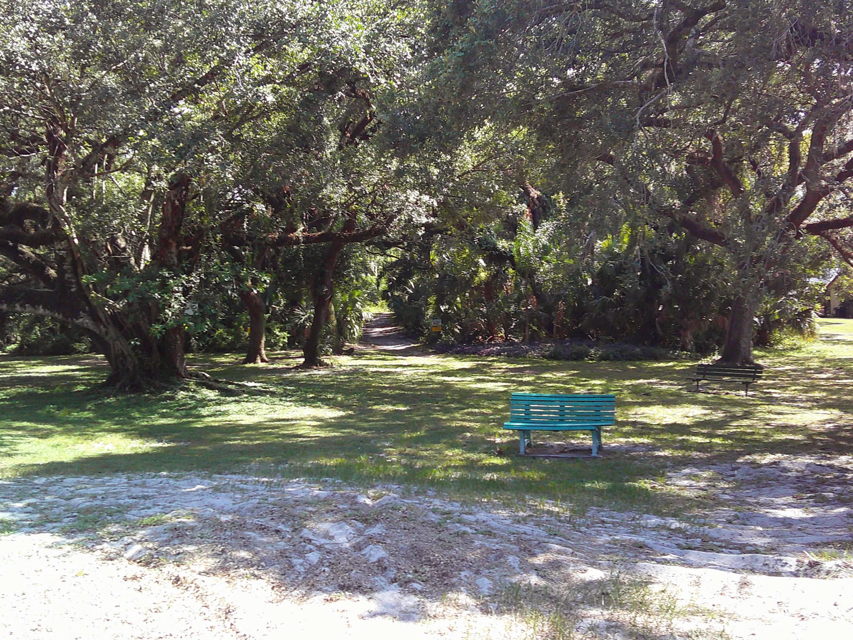 DSCF0072