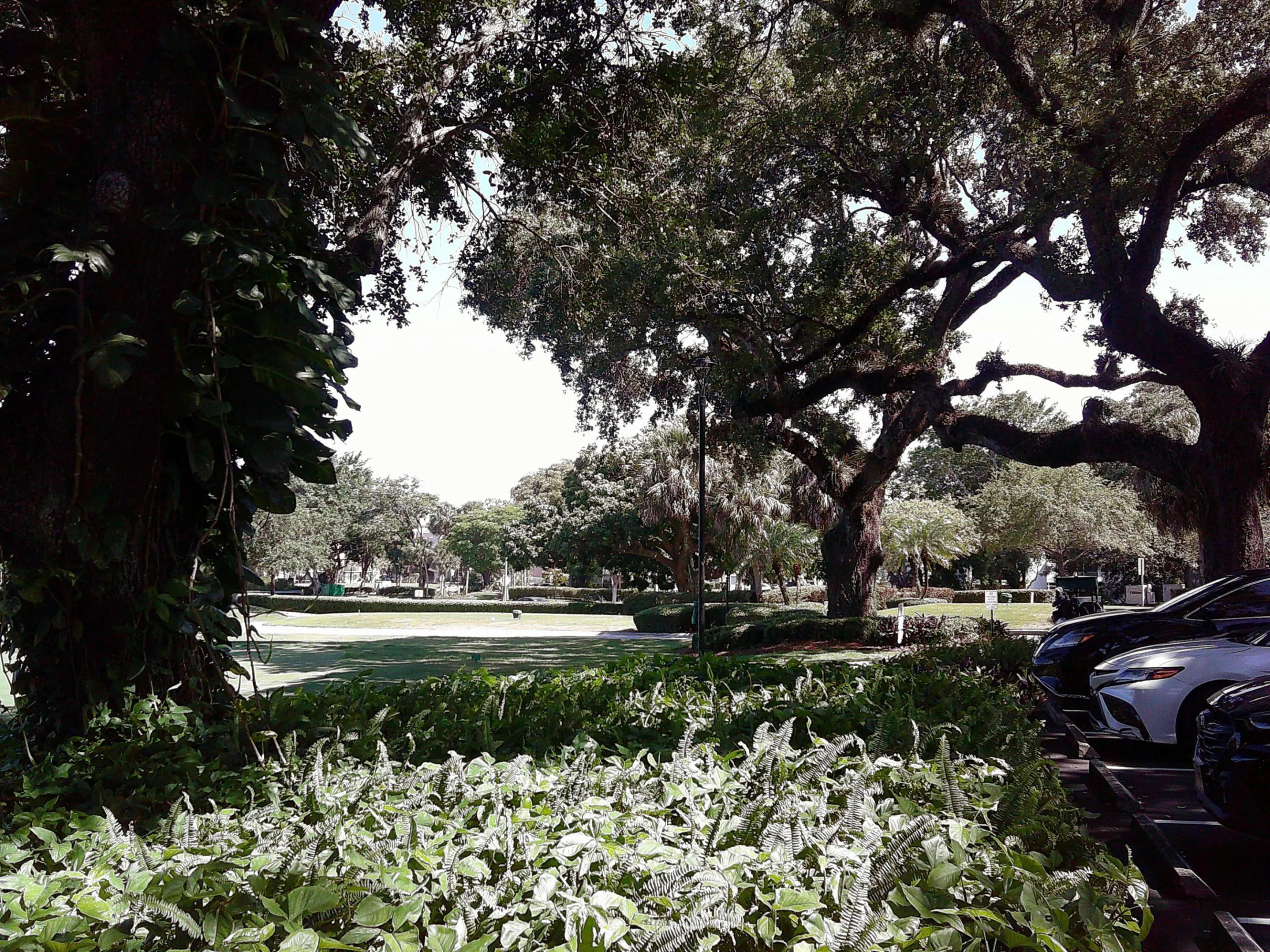 DSCF0056