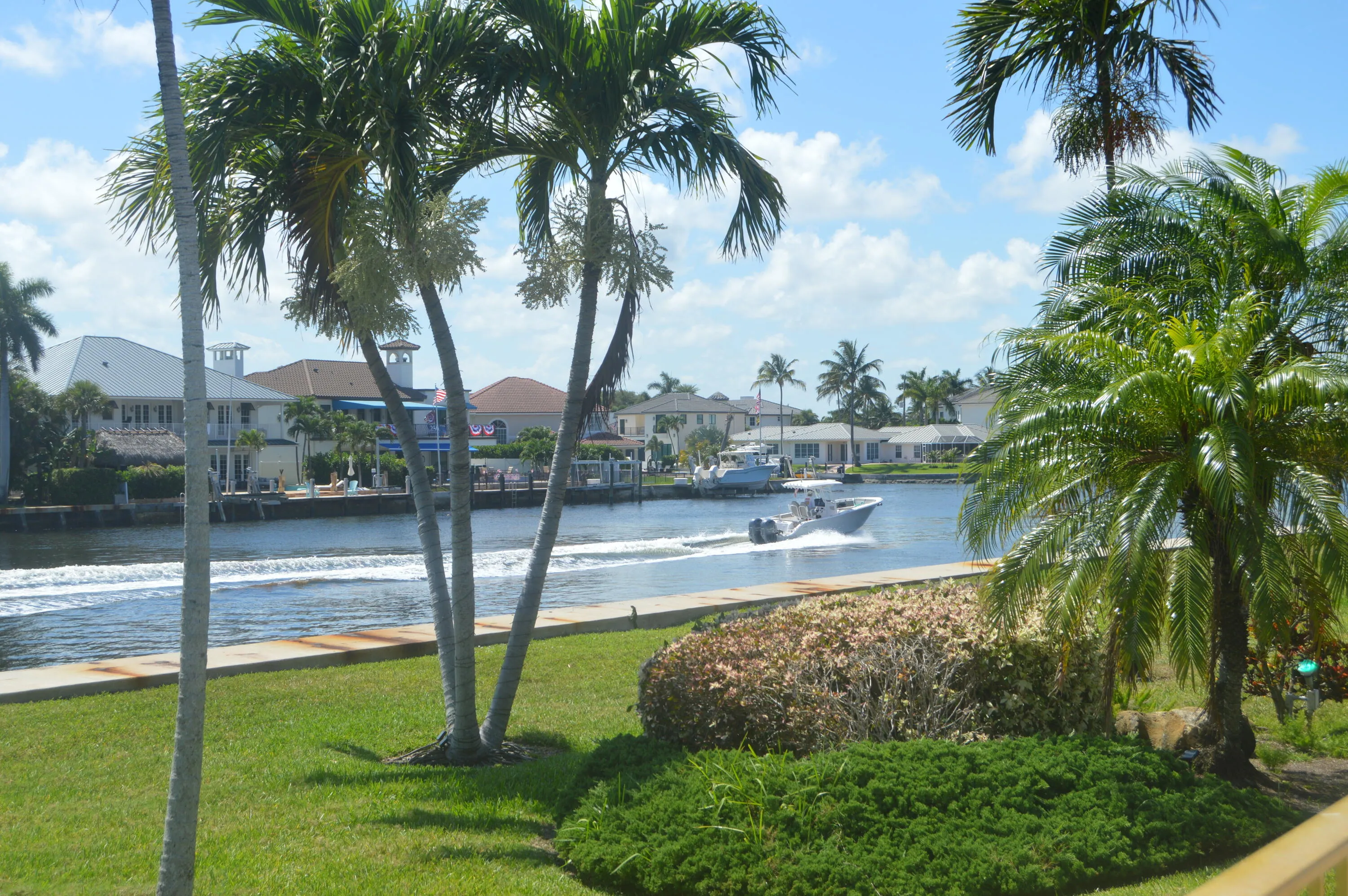 DSC_0141