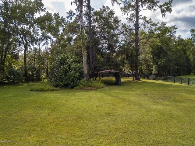 OCALA PASTURE