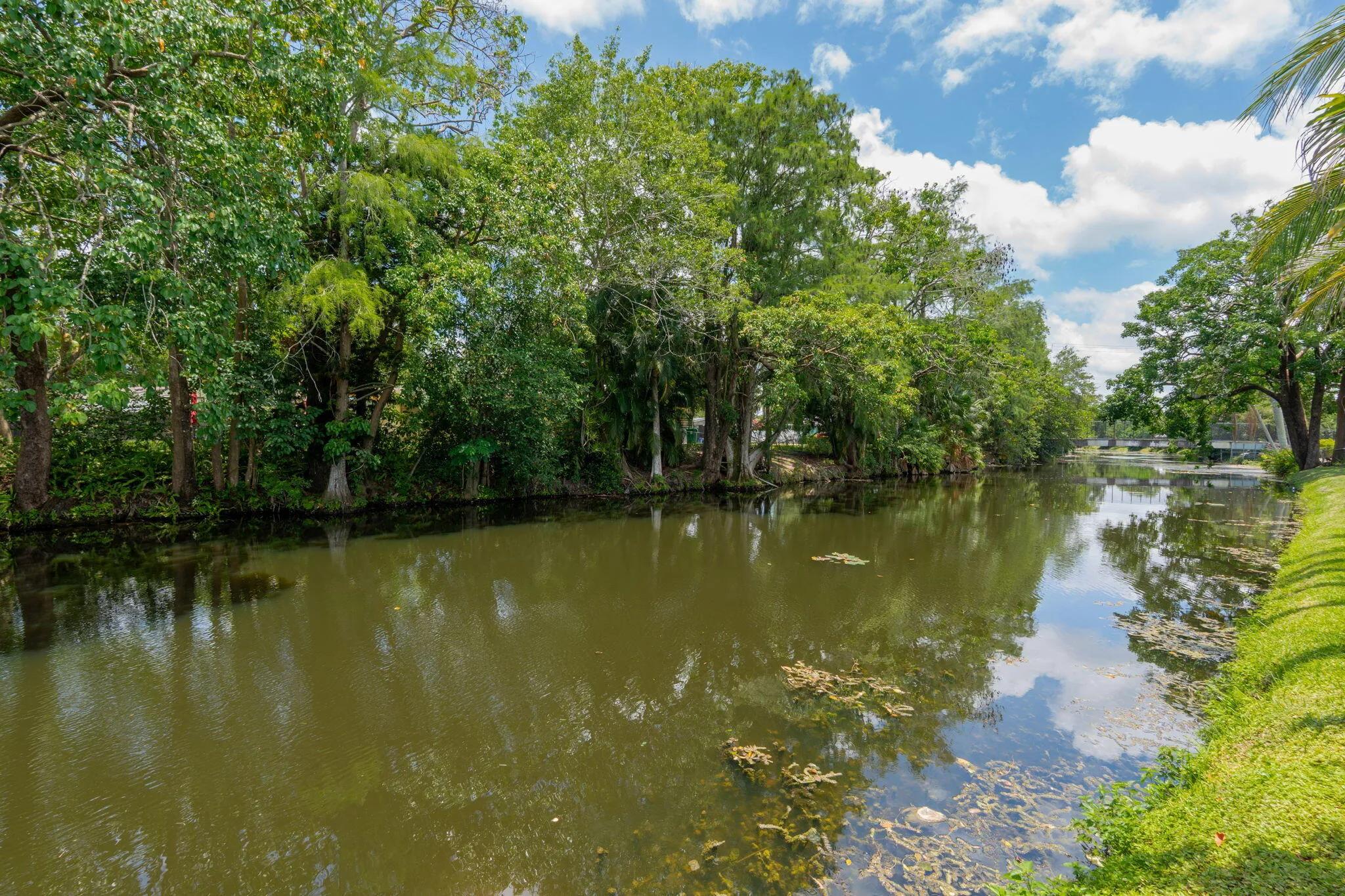 55-web-or-mls-A7406998