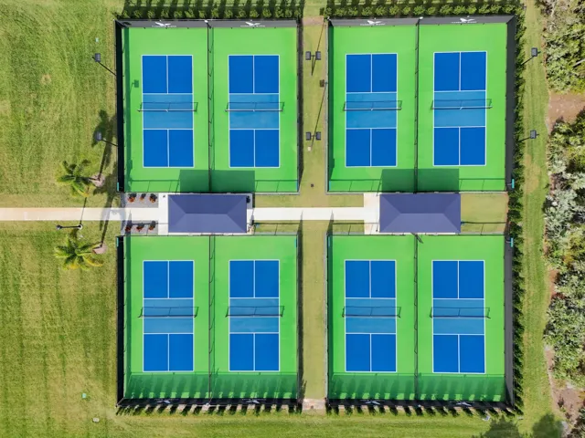 Pickleball Overhead