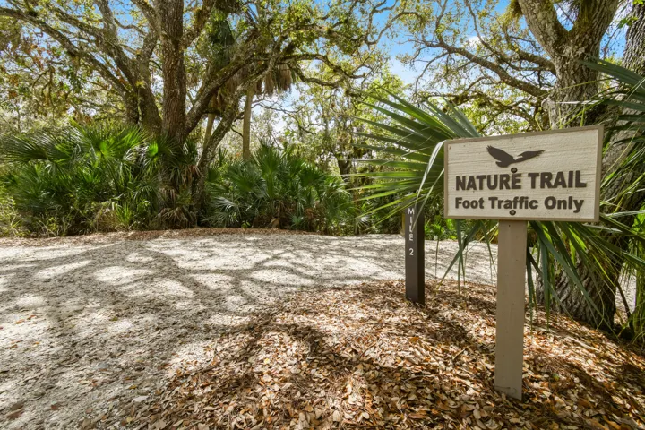 Natural Trail 2