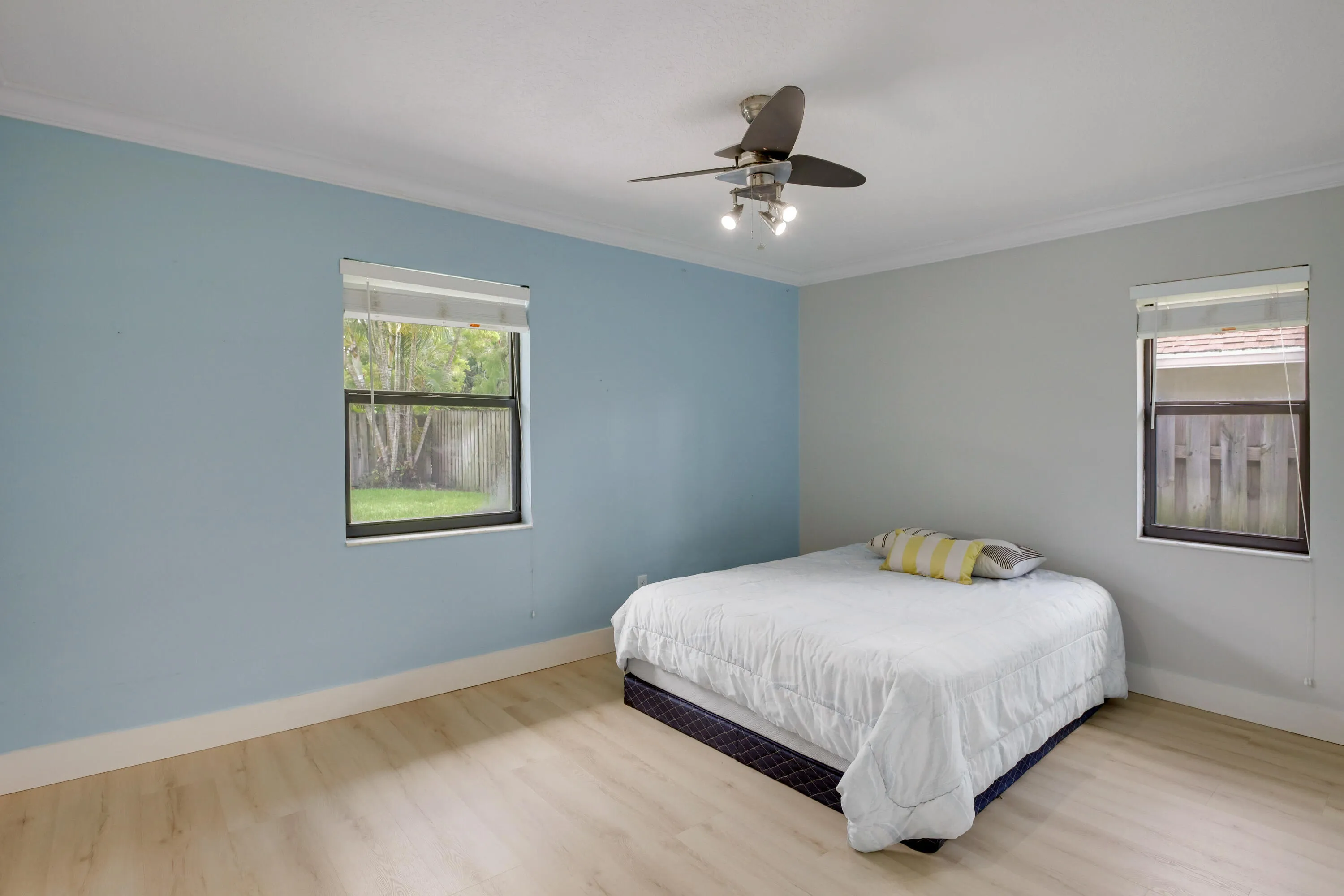 542 Indigo (24)