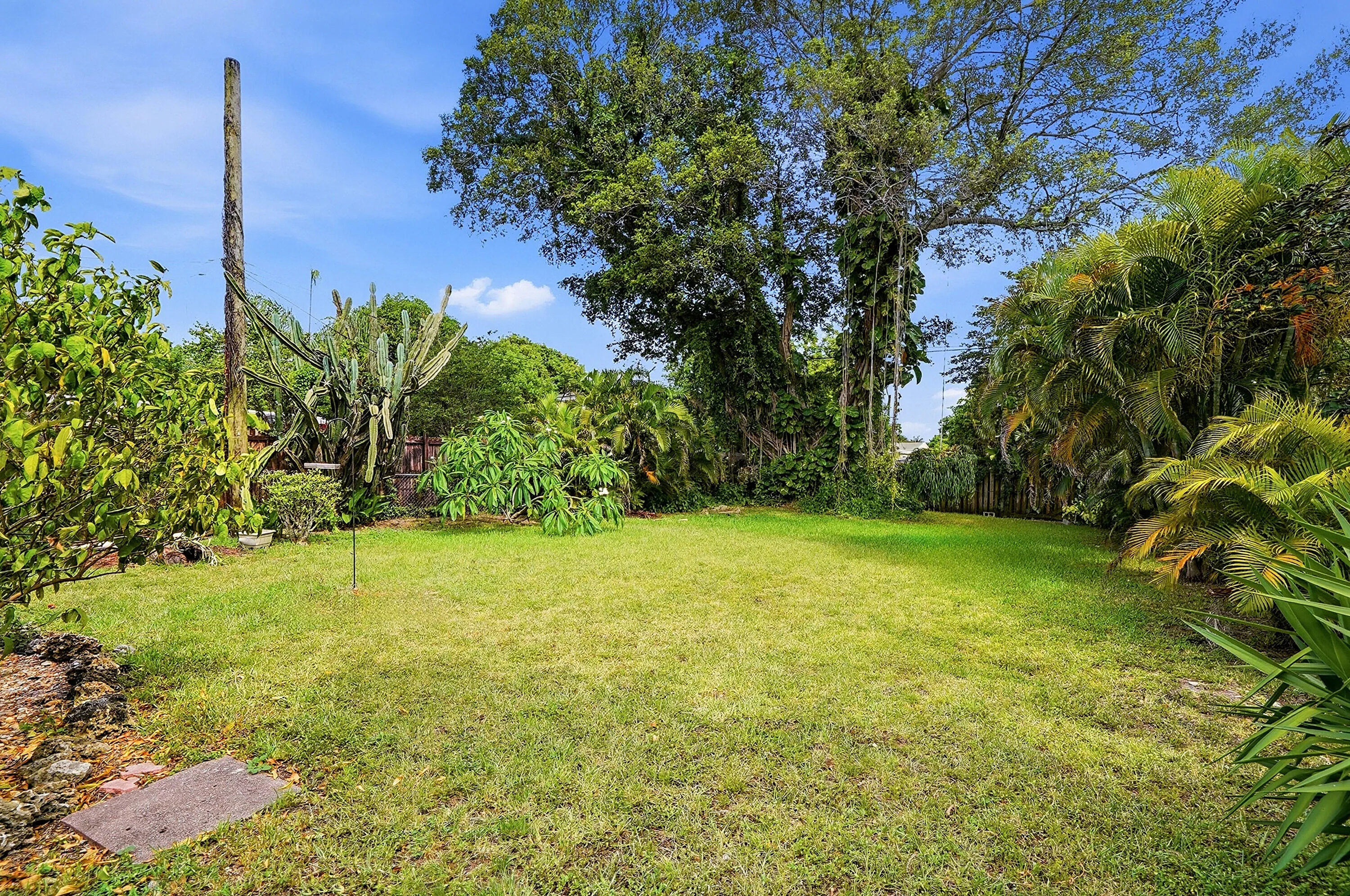 Backyard