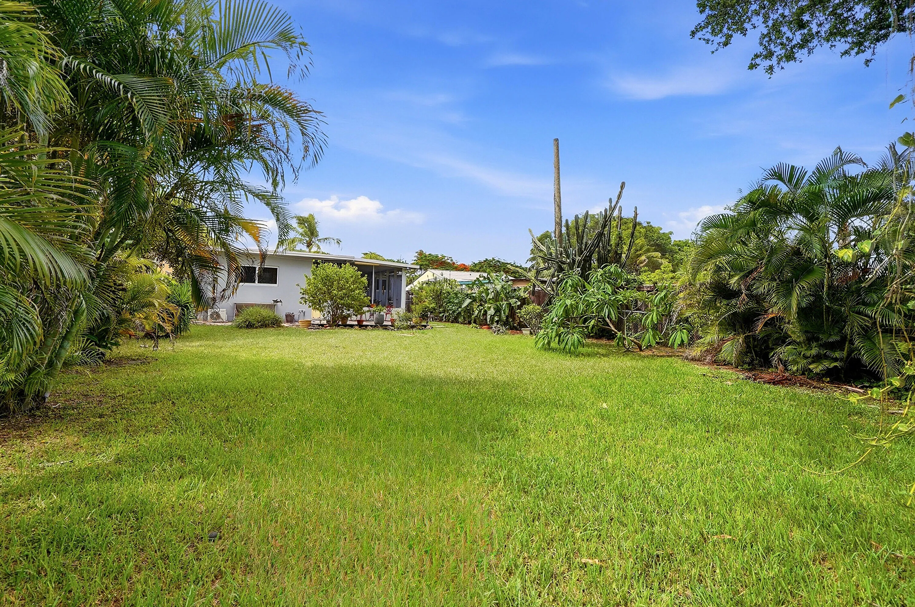 Backyard