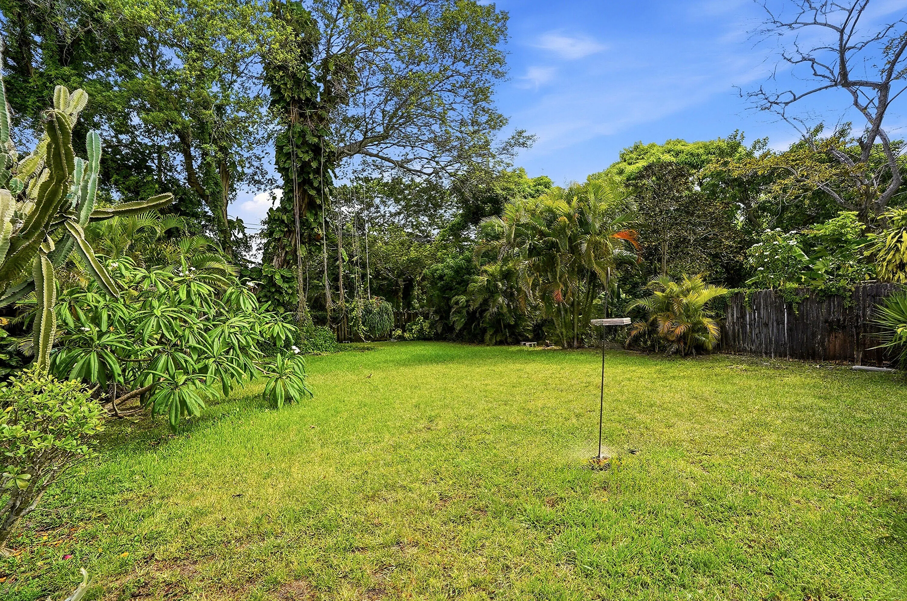 Backyard
