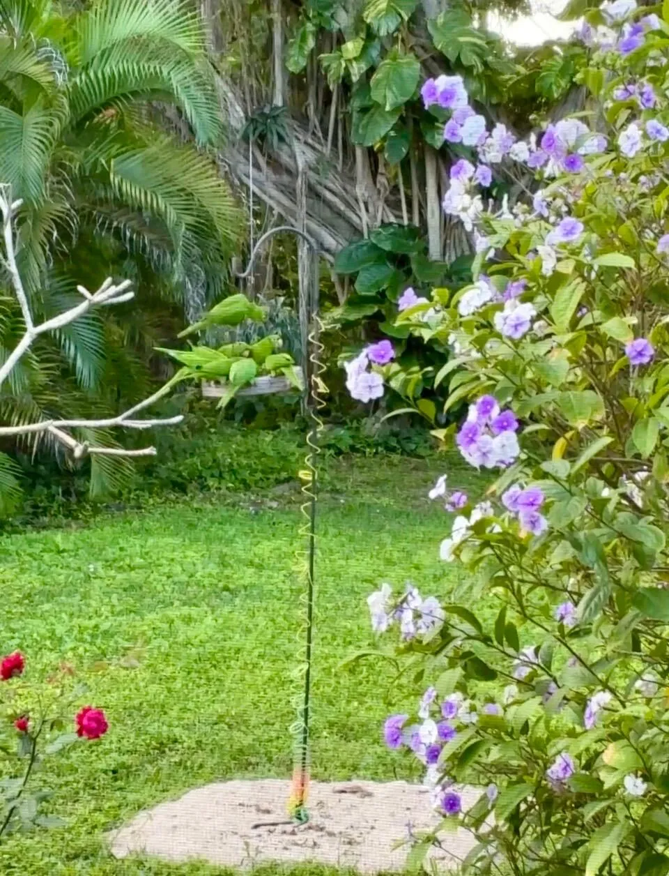 Landscaping