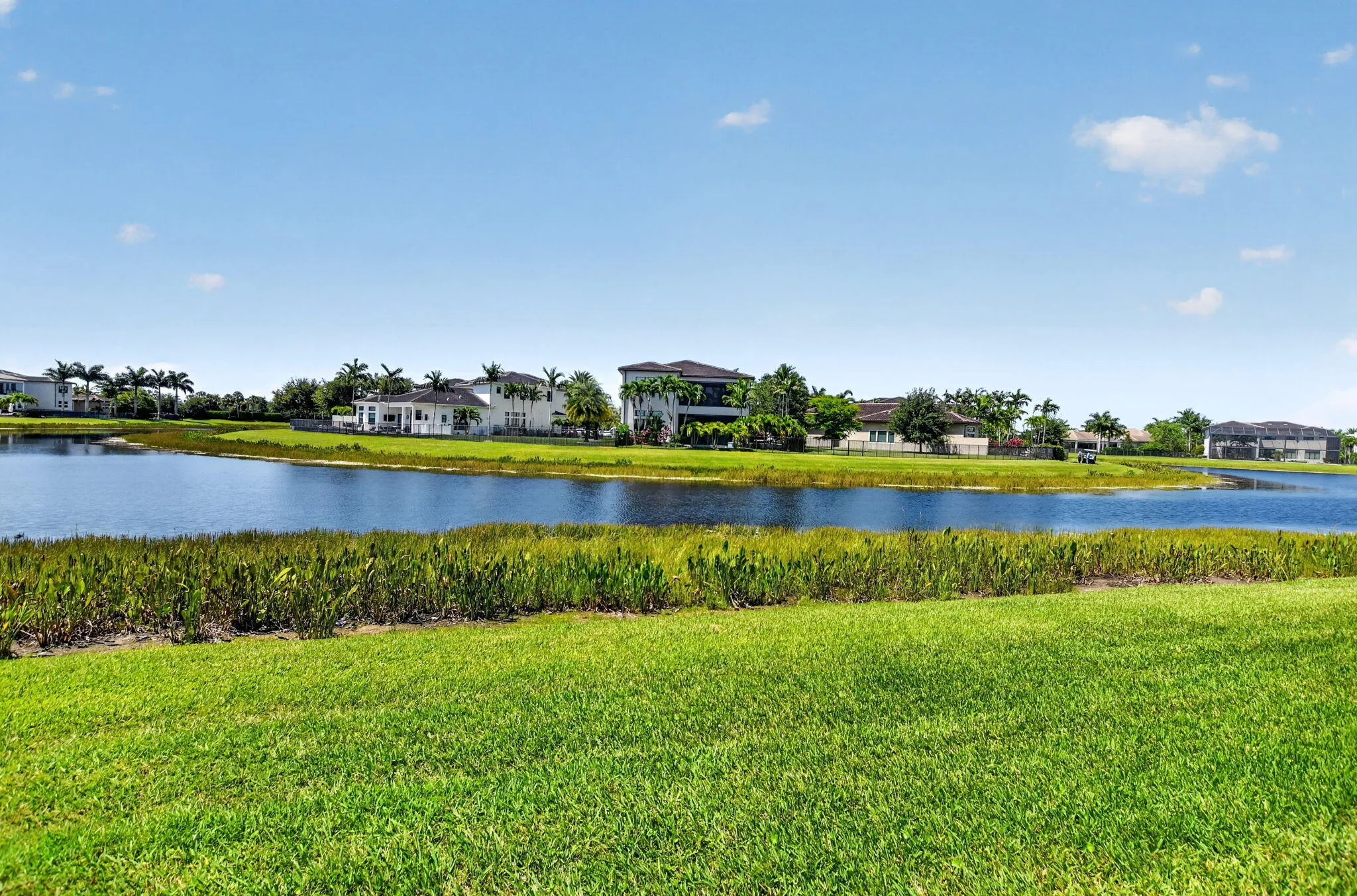 Lakefront View (1)