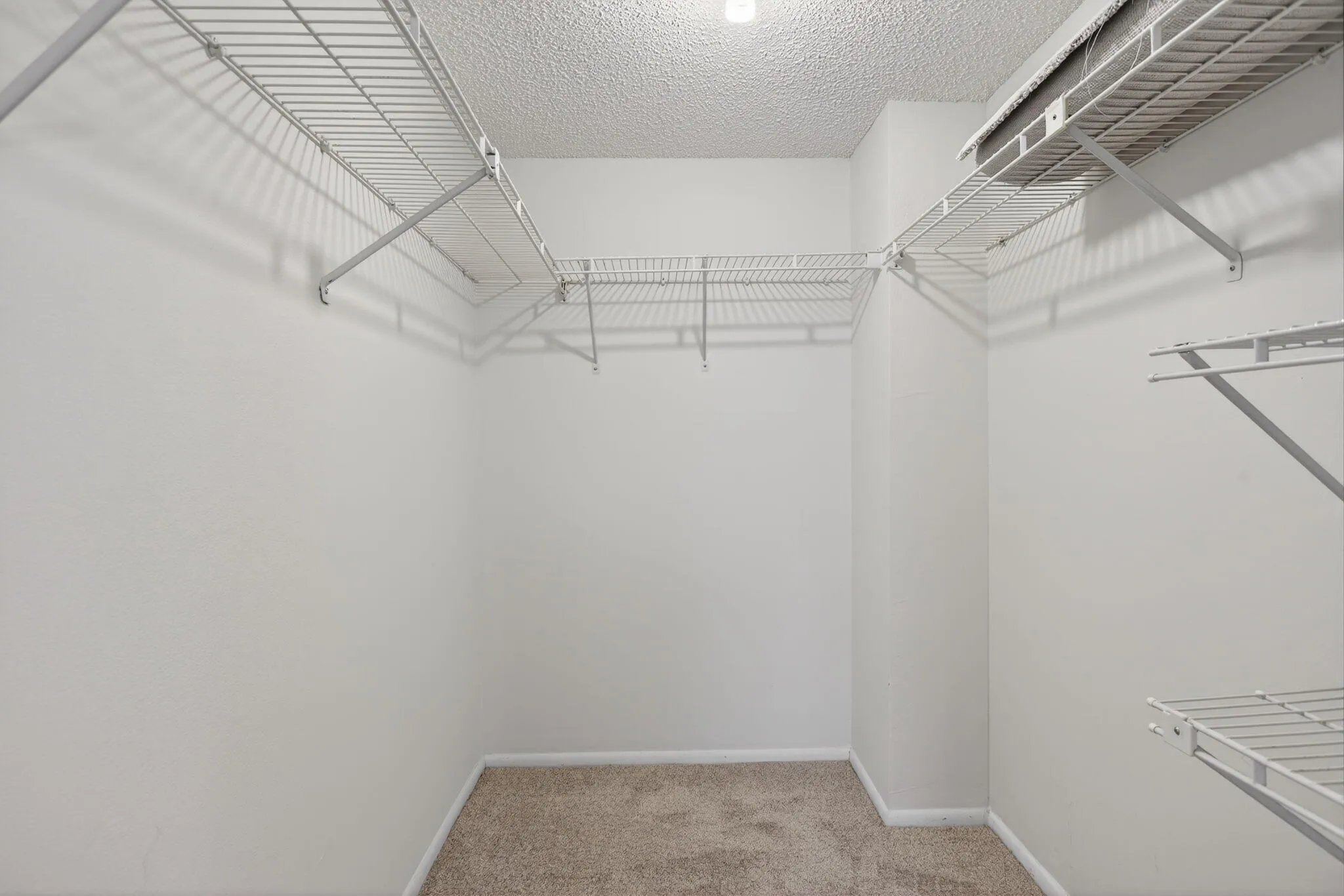 Primary Walk-in Closet