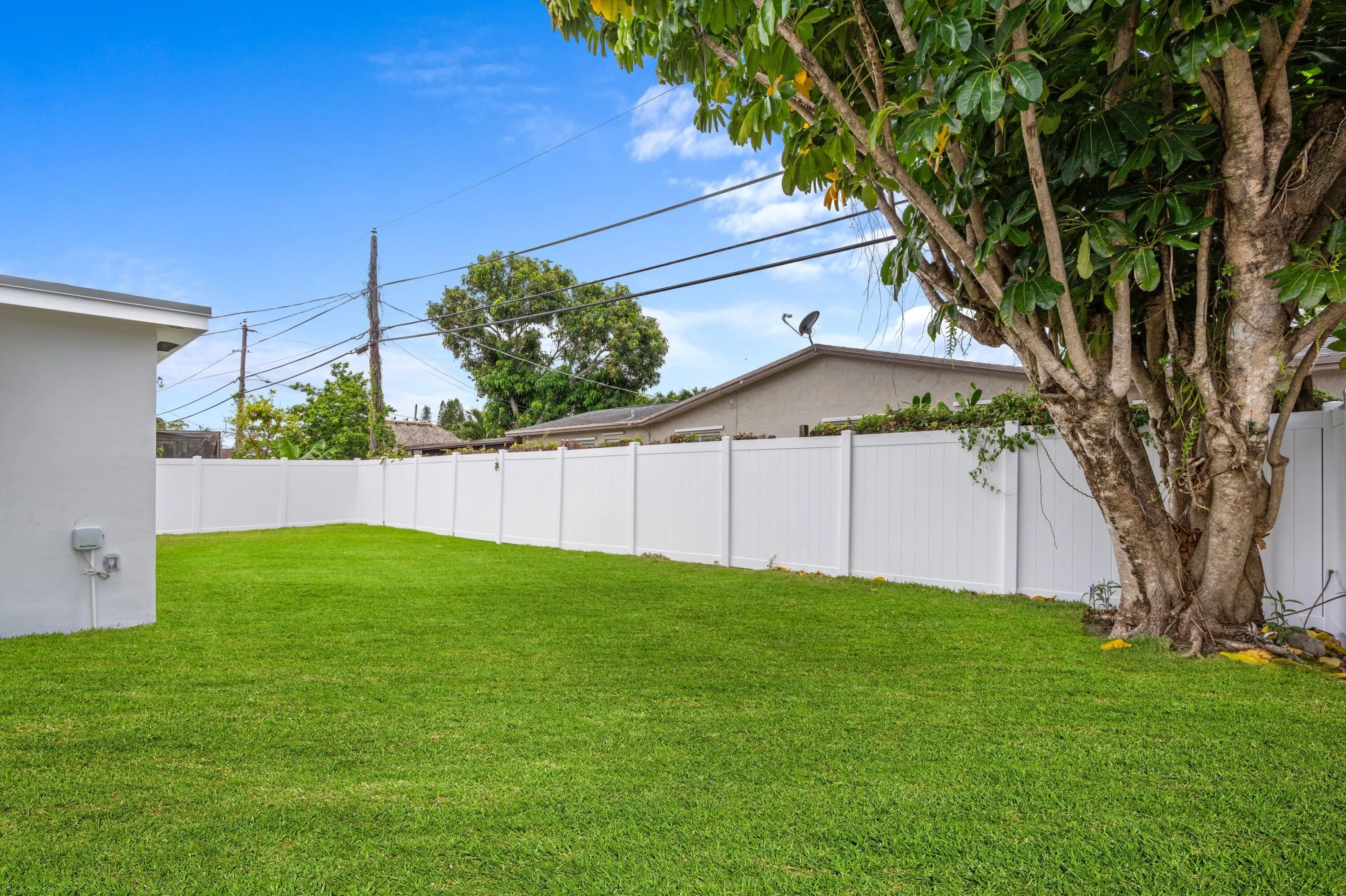 Backyard