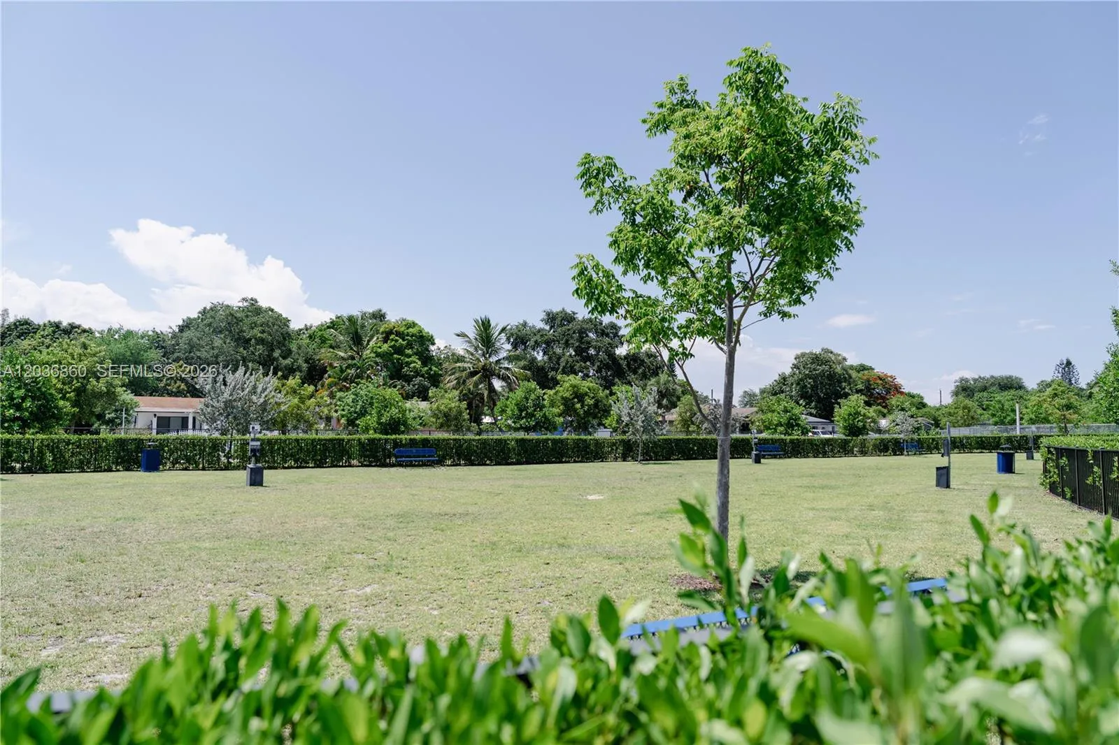 Property photo 67