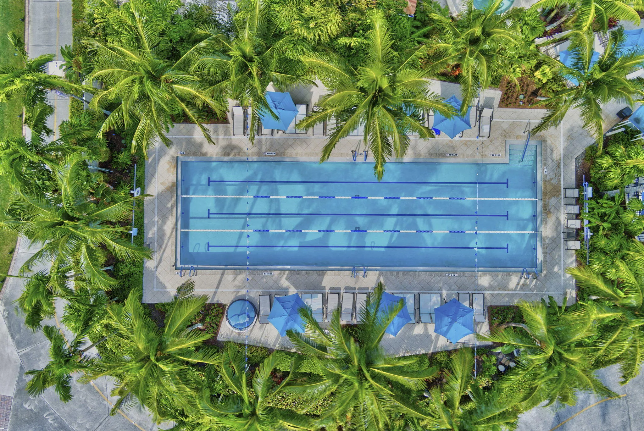 CLUB - Lap Pool