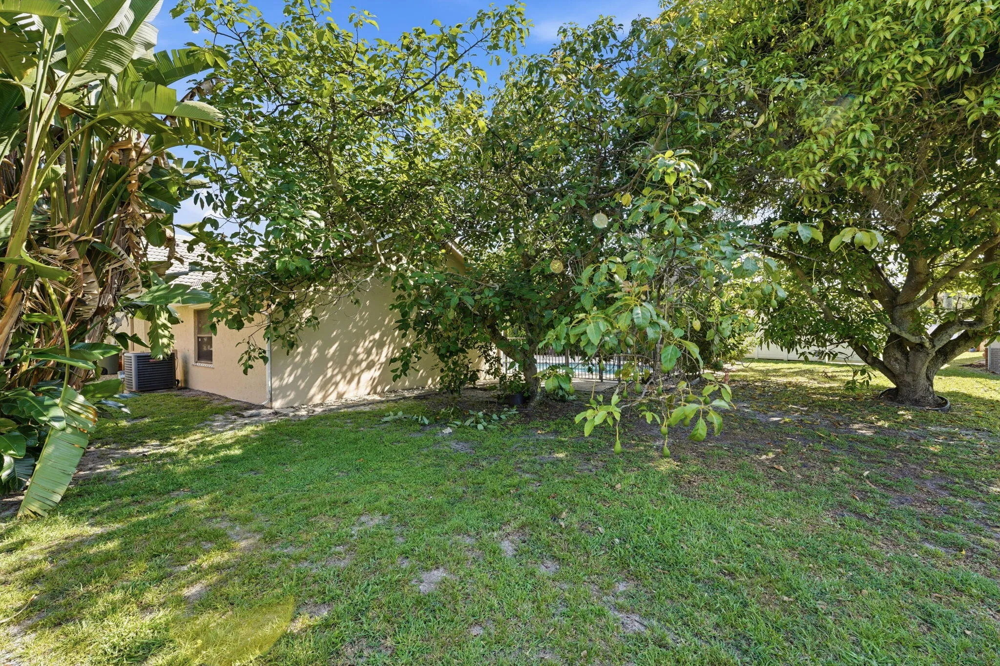 31-web-or-mls-DSC08152