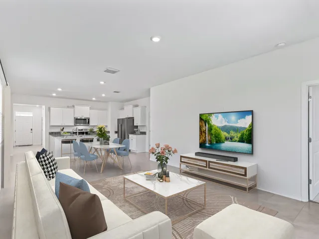 Living room and kitchen