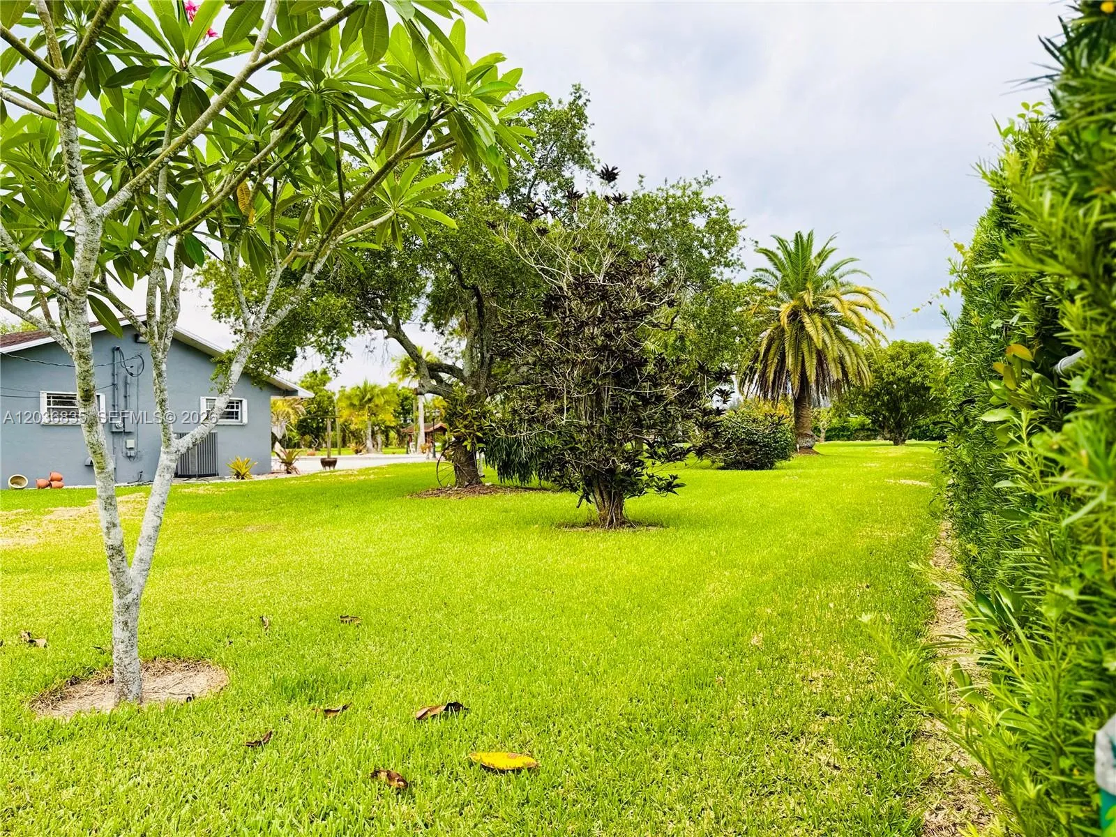 Property photo 86