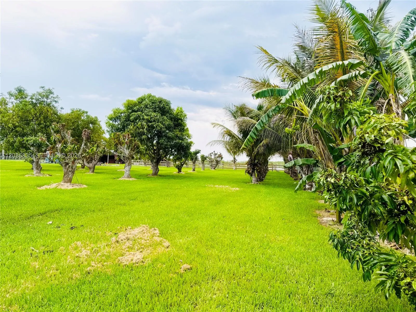 Property photo 84