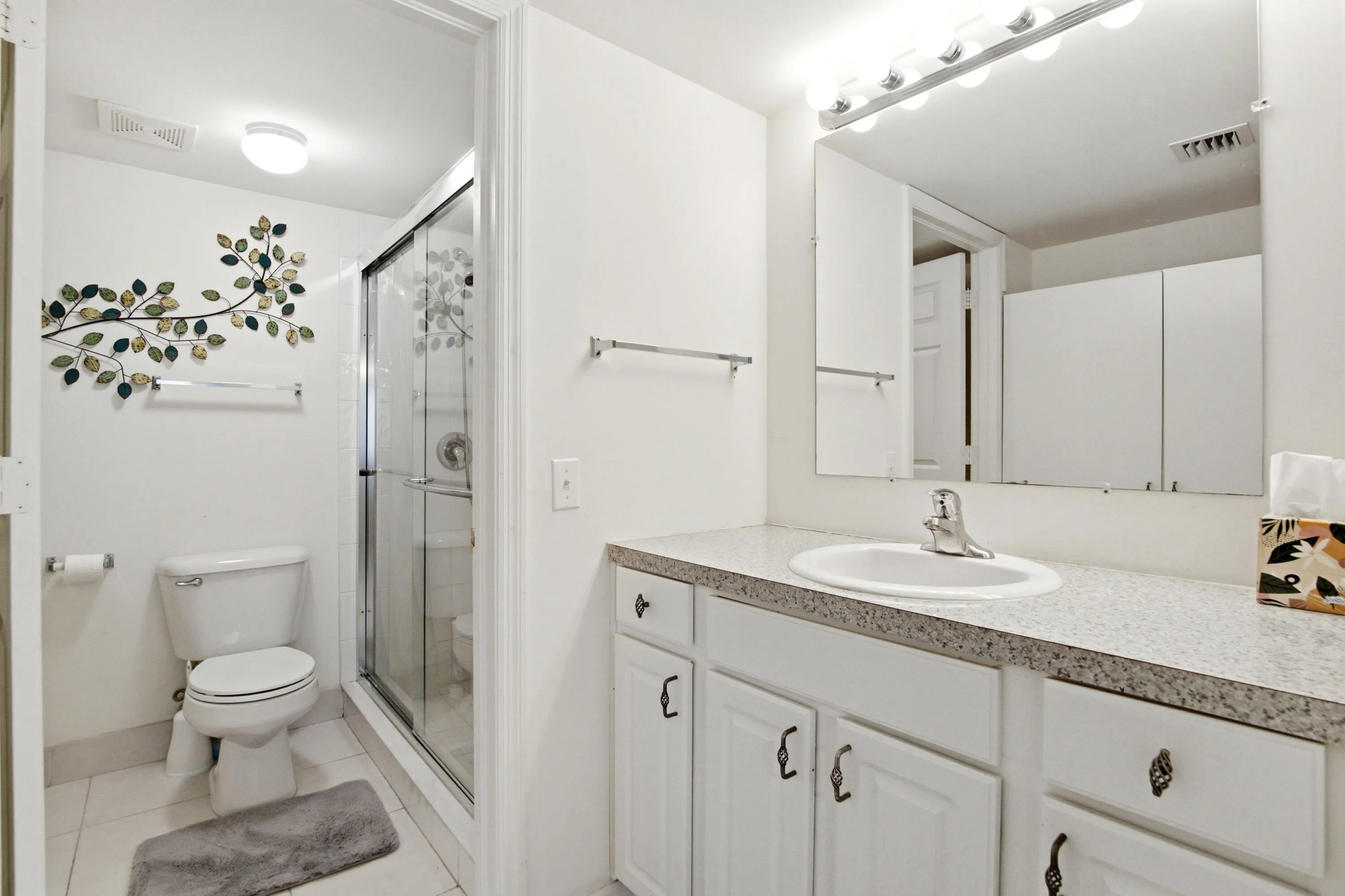 Primary bathroom