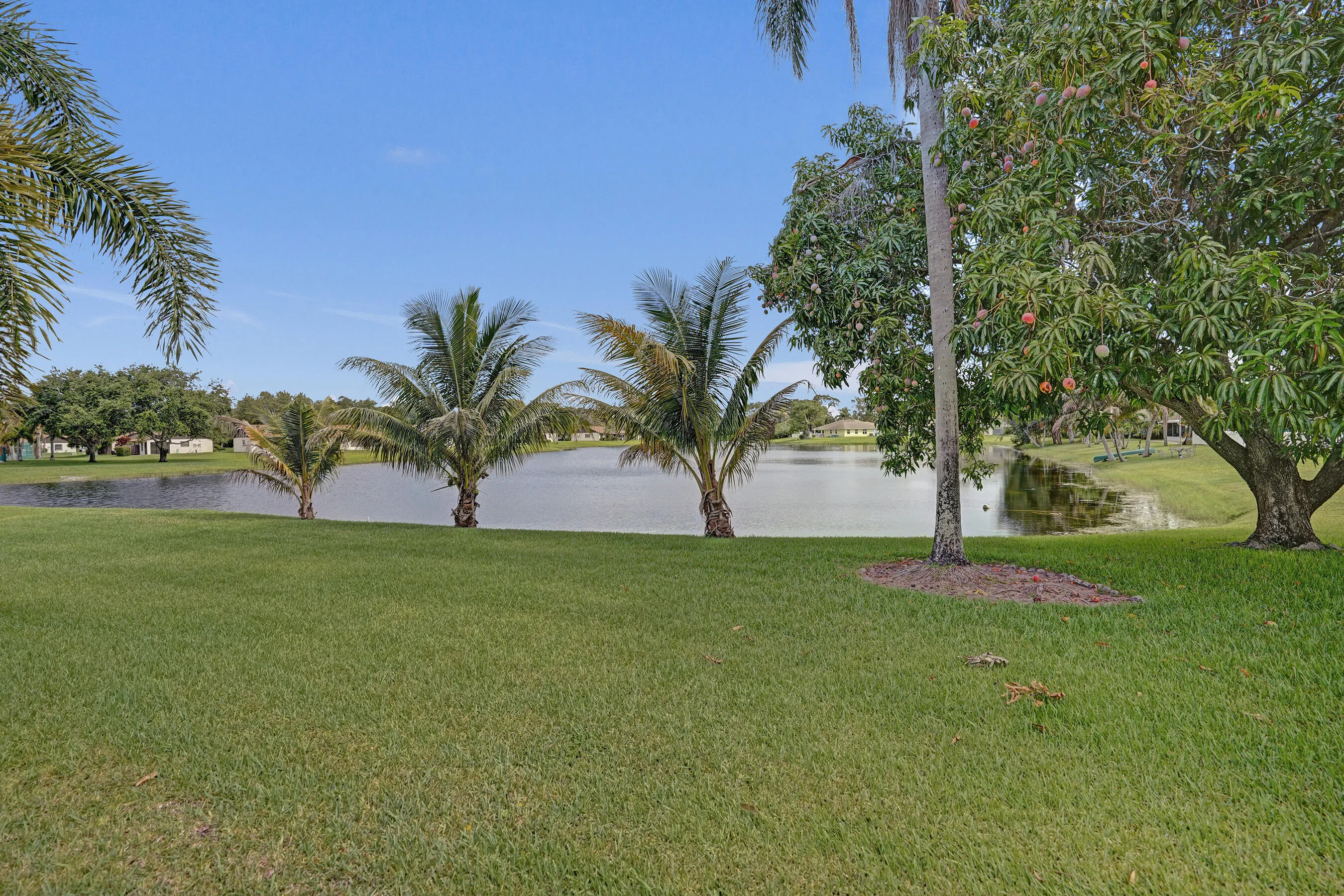 Yard Views!