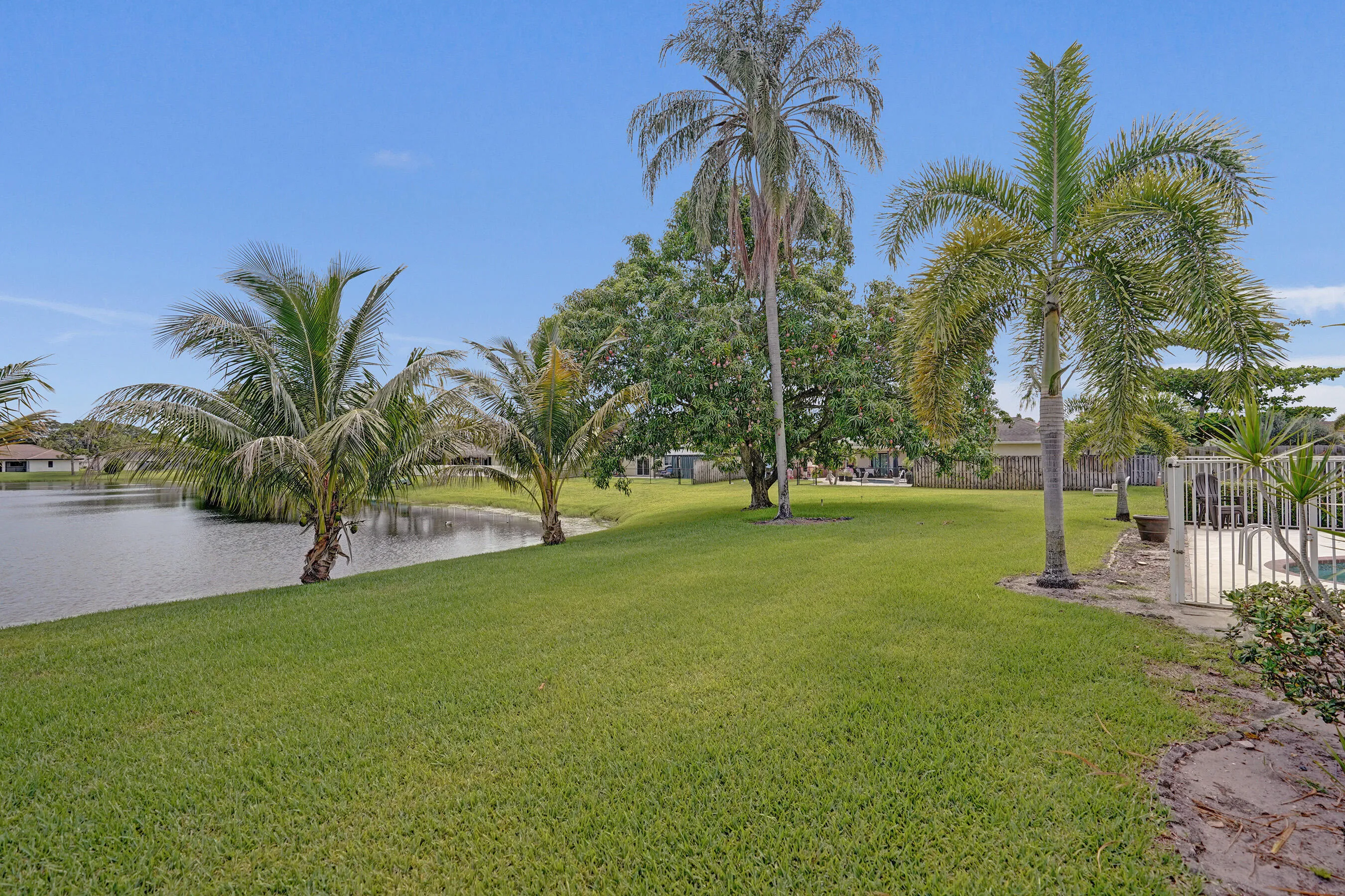 Backyard!