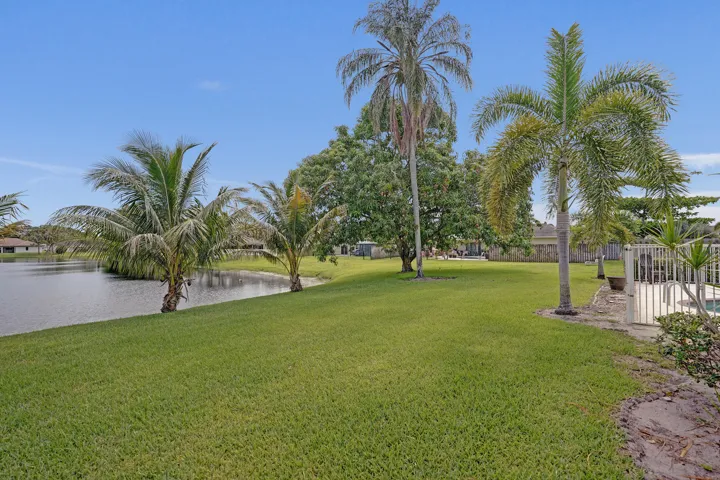 Backyard!