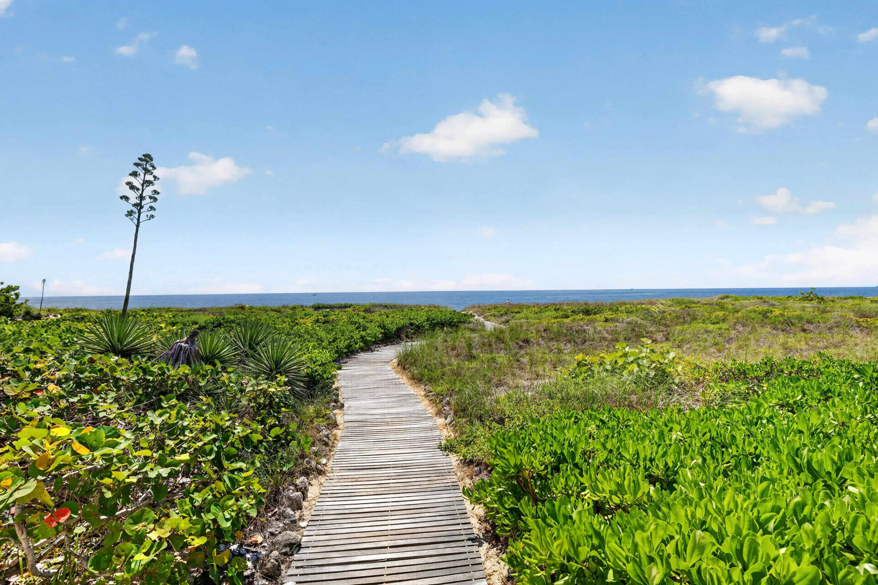 Fairly new boardwalk from pool to beach
