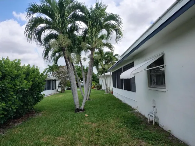 EE backyard