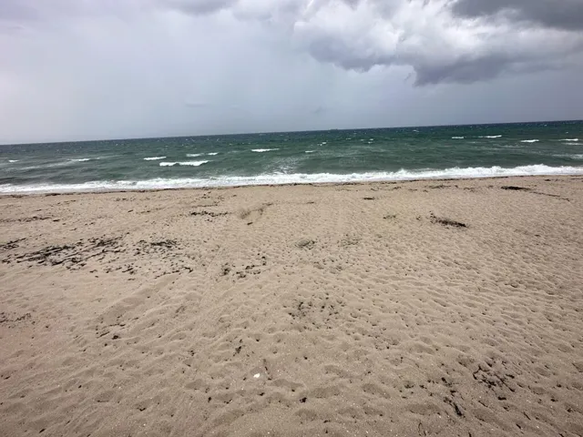Picture36