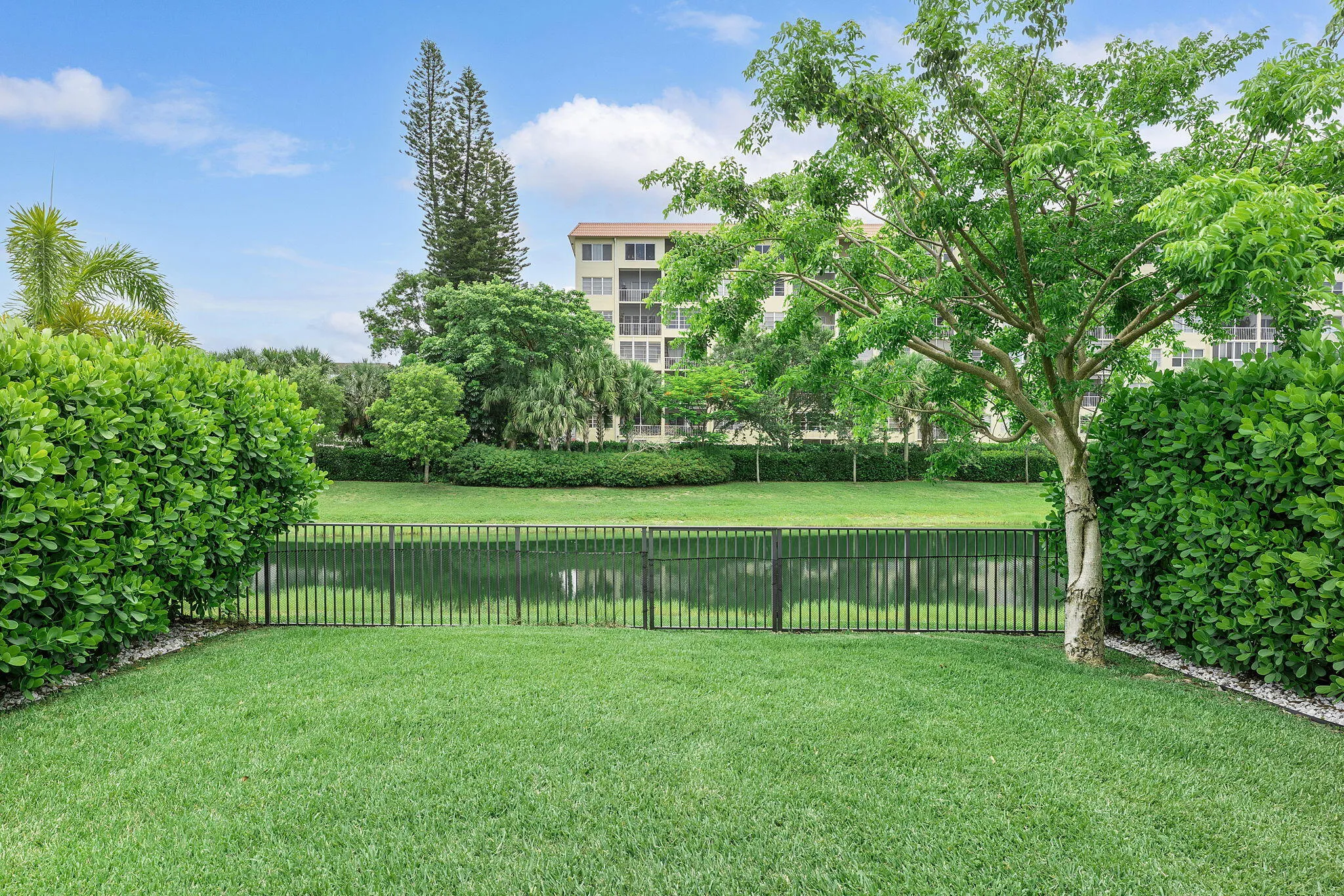 Spacious Backyard