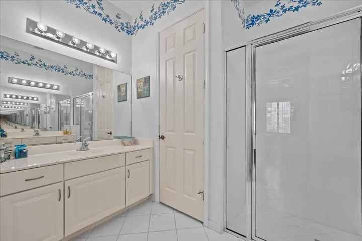 Downstairs Owner's Suite Bathroom