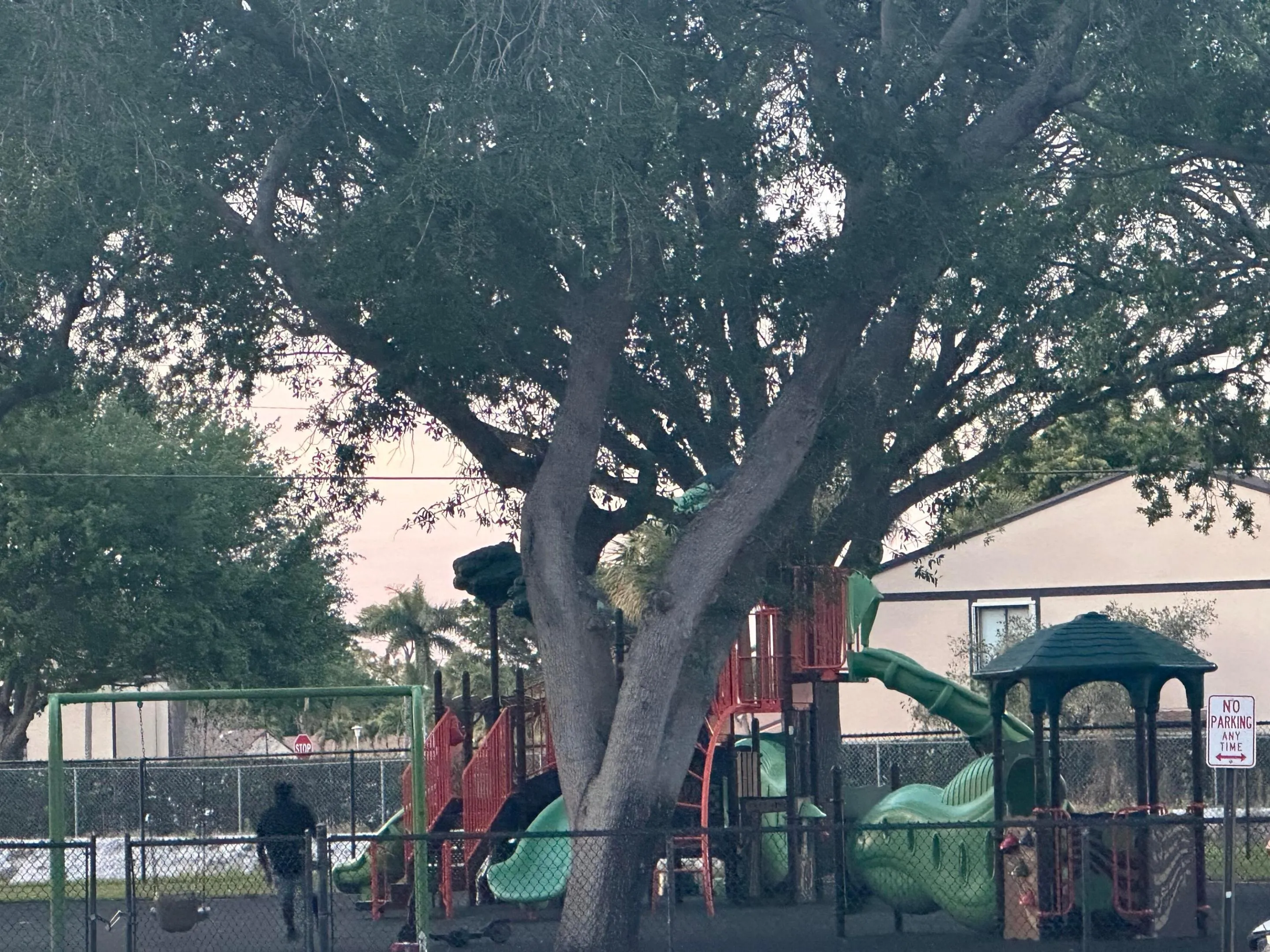 PLAYGROUND